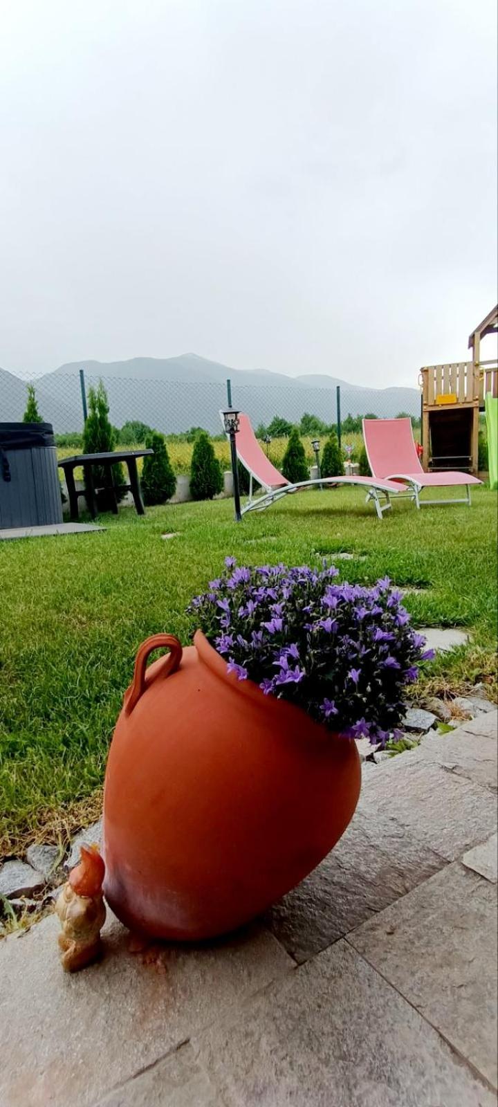 Mountain Villa Jordan- With Jacuzzi 라즐로그 객실 사진